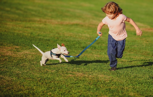 公園の芝生で走ったり犬と遊んだりしている男の子飼い主と一緒にペット犬が尻尾を上げた