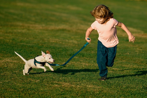 Boy running and playing with dog on the lawn in the park pet with owner the doggy has raised a tail