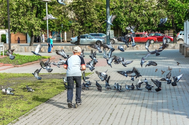 a boy on a scooter chases a flock of pigeons