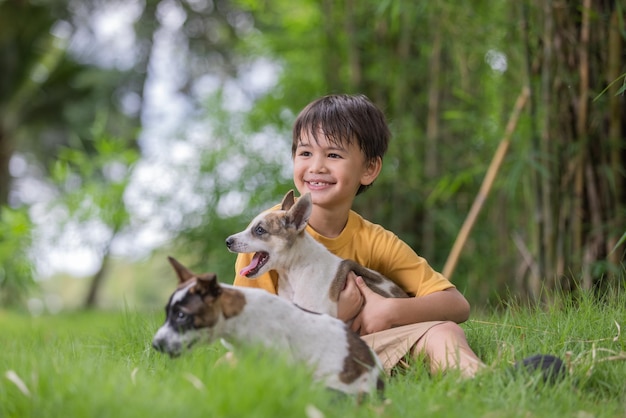 Boy sitting at park with dogs