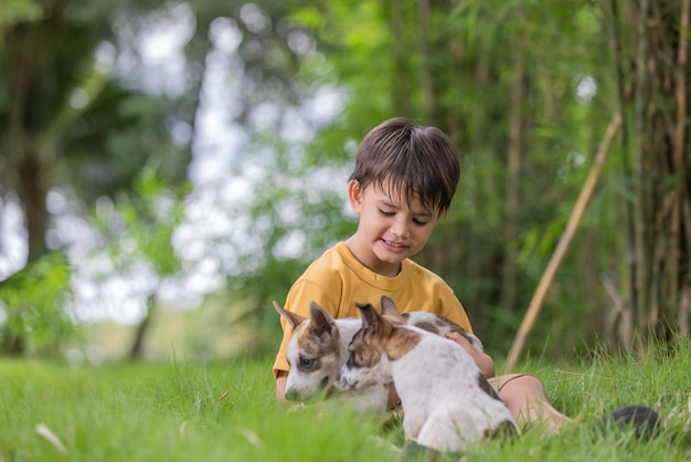 Boy sitting at park with dogs