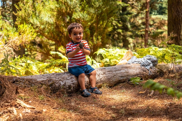 A boy sitting on a tree in nature next to pine trees Madeira Portugal