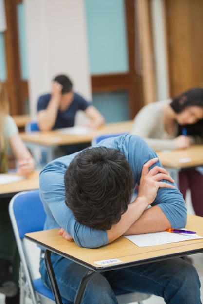 Boy sleeping at desk