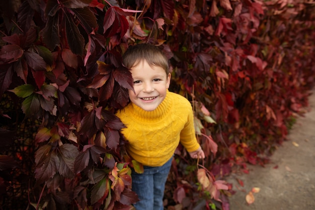 Photo a boy smiles in an autumn park