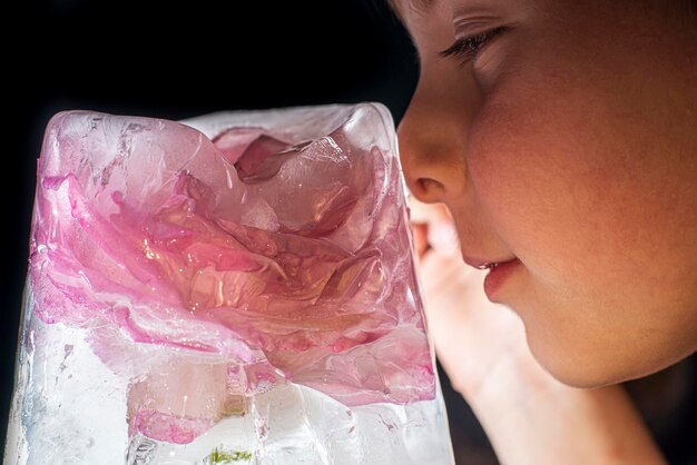 Boy sniffing a frozen rose close