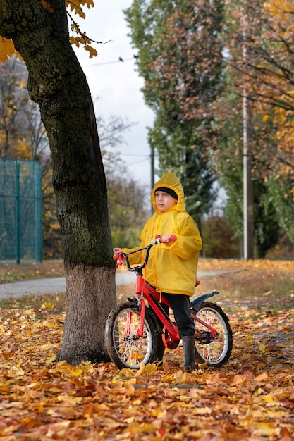 少年は黄色い落ち葉に囲まれた自転車を持って公園に立っています。秋の日。垂直フレーム。