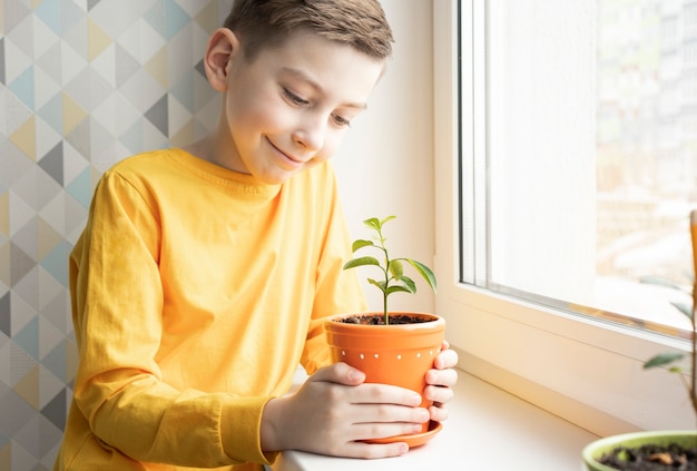 The boy takes care of houseplants on the windowsill at home