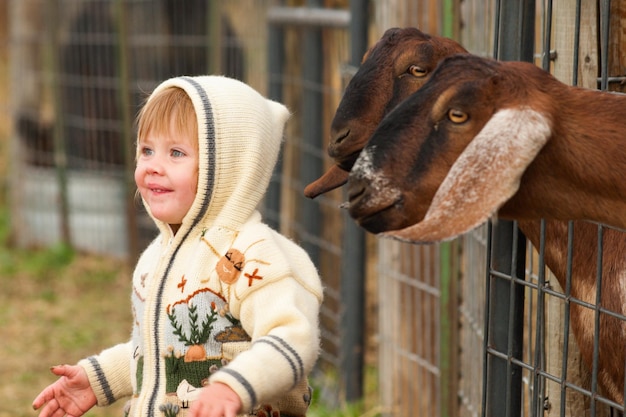 Boy toddler on the farm.