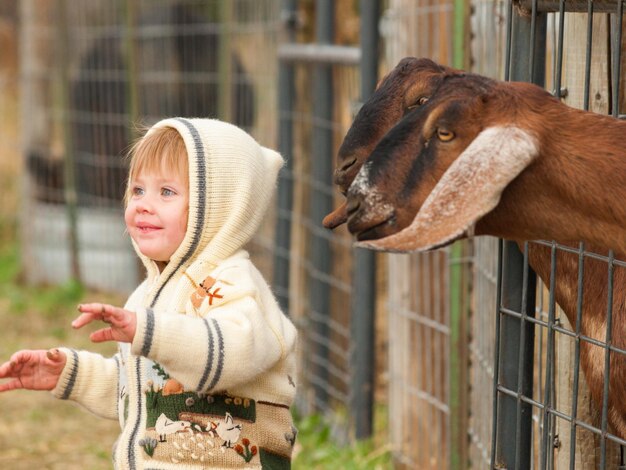 Boy toddler on the farm.