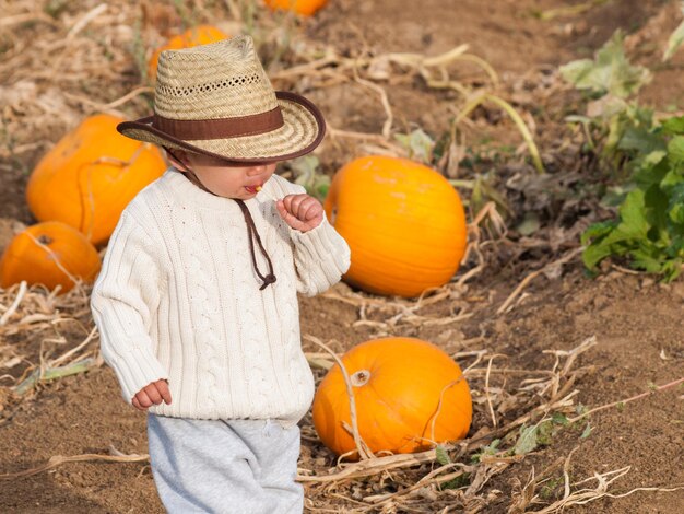 Boy toddler on the farm.