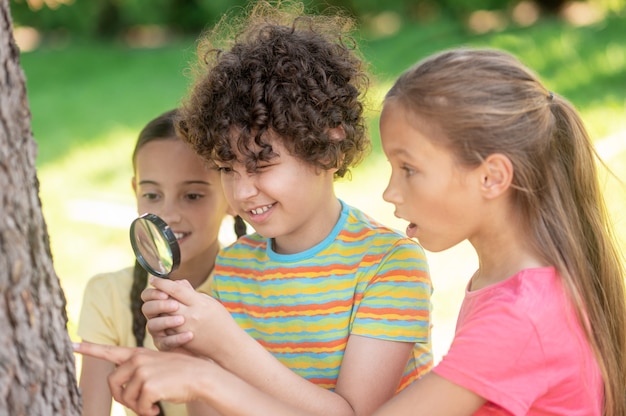 Photo boy and two girls exploring tree trunk