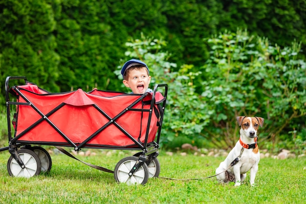 Boy in a wagon and adult male jack russell terrier dog on a grass in a garden in spring