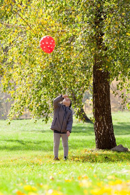 boy during a walk in the park 