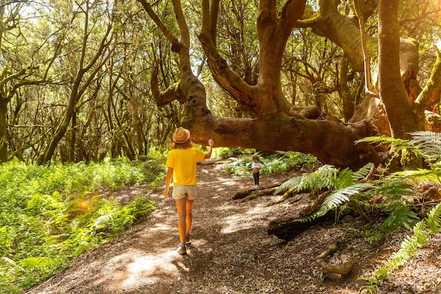 해질녘에 엘 이에로에 있는 라 야니아의 자연 공원에서 걷는 소년 카나리아 제도 무성한 녹색 풍경의 로렐 숲 길