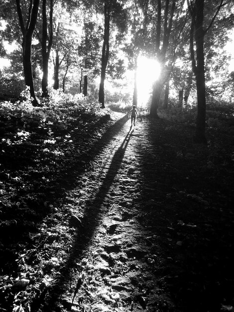 Foto ragazzo che cammina sul sentiero nella foresta