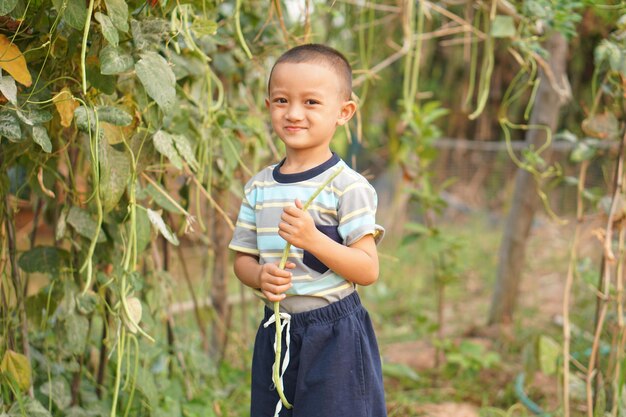 菜園を歩いて野菜を集めて食べる男の子