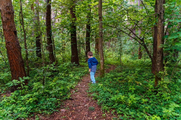 Ragazzo cammina nel bosco. cammina lungo la strada forestale e guarda i cespugli e gli alberi