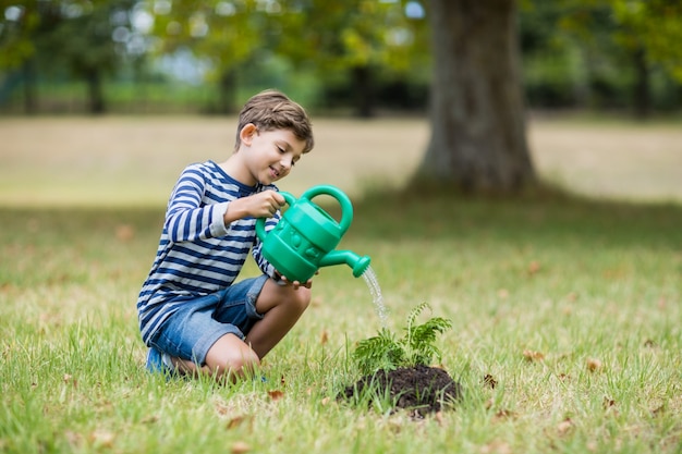 Мальчик поливает молодое растение