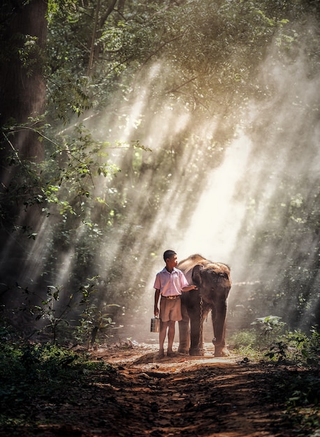 Boy with baby elephant in forest