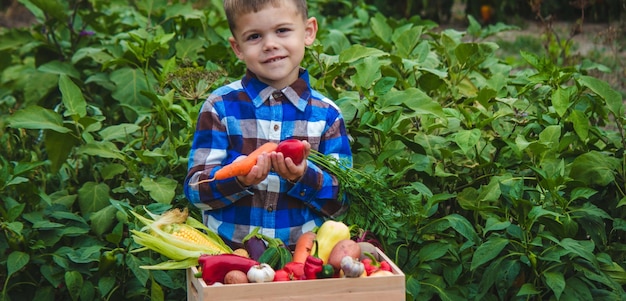 庭で野菜の箱を持つ少年