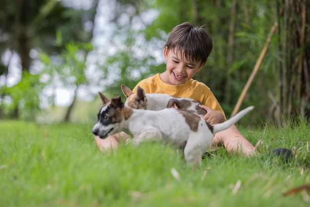 Boy with dog on field