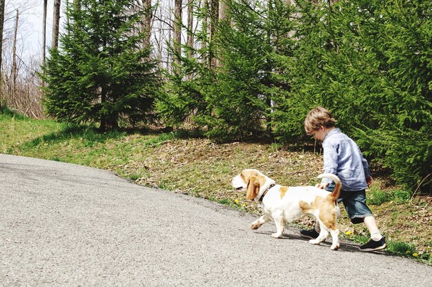 写真 犬を連れて道を歩く少年