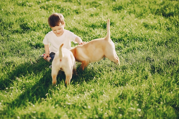 boy with dogs