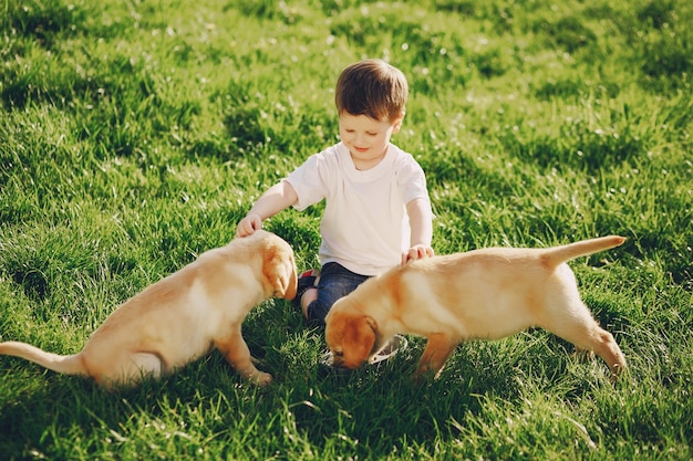 boy with dogs