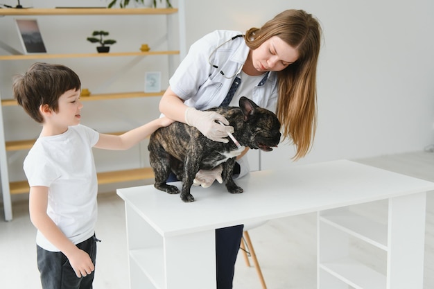 The boy with his dog to the vet French bulldog in a vet clinic