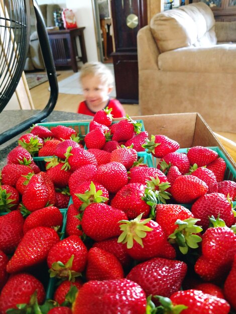 Photo boy with strawberries