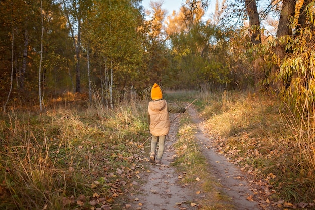 Foto il ragazzo con il bastone di legno cammina attraverso il sentiero ed esplora la foresta durante la passeggiata autunnale da dietro