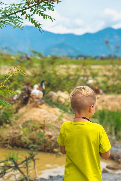 A boy in a yellow shirt stands in front of a mountain landscape.