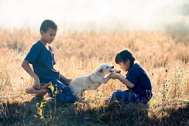 Мальчики и девочки, дети тайского фермера играют с собаками на рисовых полях.