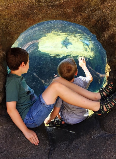 Photo boys sitting in aquarium