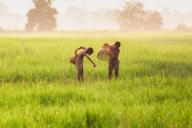 Ragazzi in piedi su un campo di riso