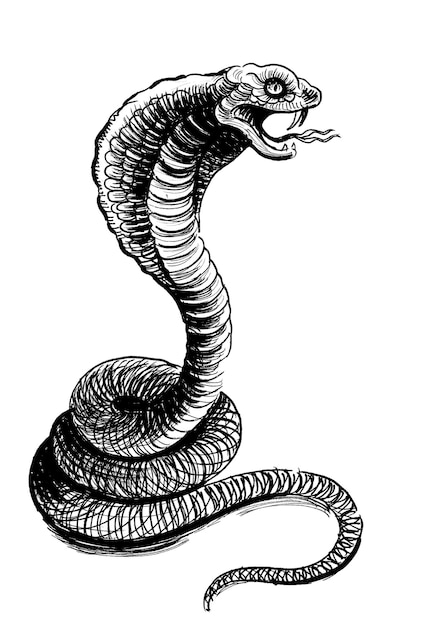 Boze cobra slang Inkt zwart-wit tekening
