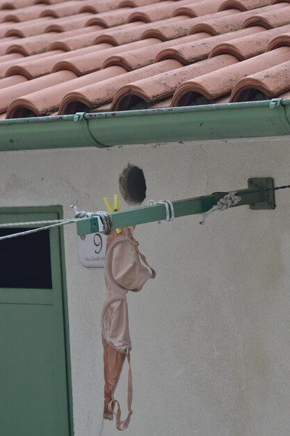 Photo bra hanging on clothesline against house