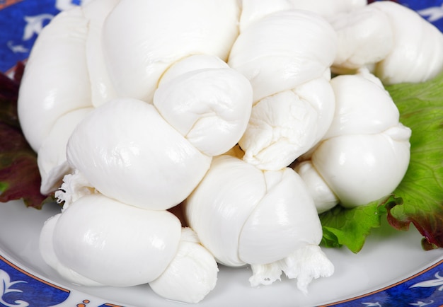 Photo braid of italian mozzarella with salad