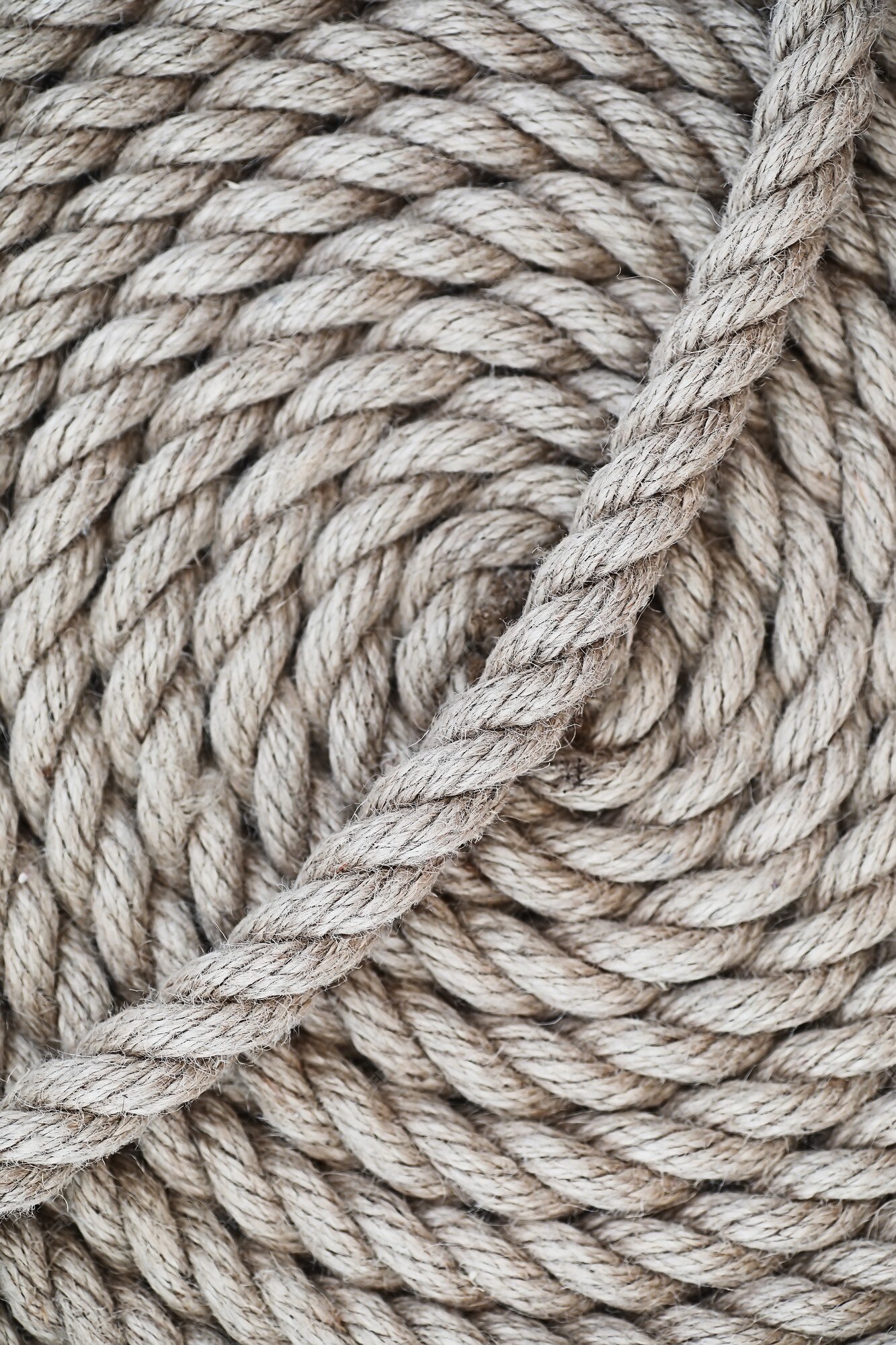 Premium Photo  Braided thick rope tied in a skein. hemp rope for