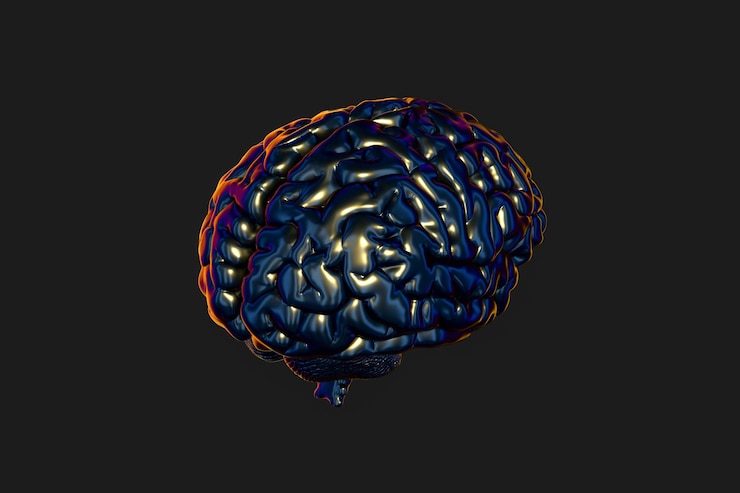 Photo brain and dark background 3d rendering