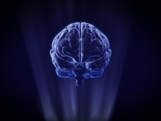 홀로그램 와이어 프레임 스타일의 뇌 3D 렌더링