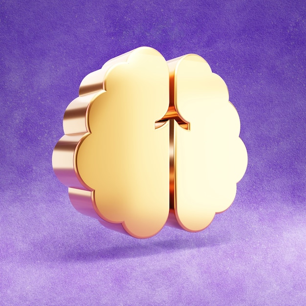 Brain icon isolated on violet velvet