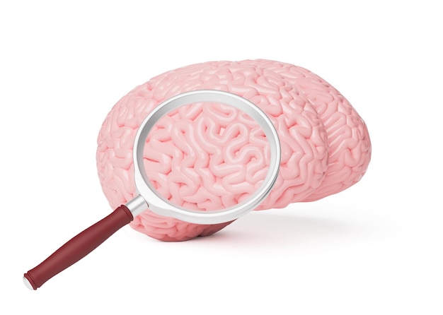 Brain and magnifying glass isolated on a white background 3d render