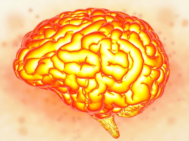 Brain power concept met 3d-rendering glanzende menselijke hersenen