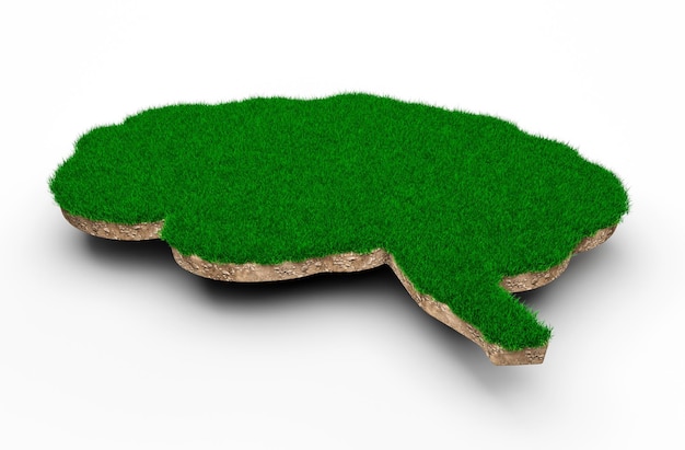 Brain shape made of green grass and Rock ground texture cross section with 3d illustration