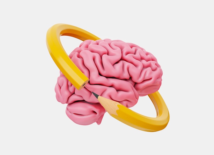 Photo brain surrounded with a pencil ring on an isolated white background 3d rendering