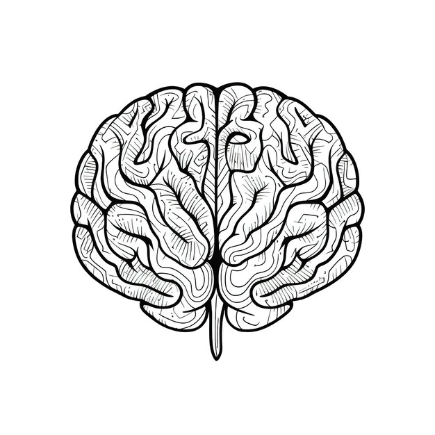 brain vector illustration