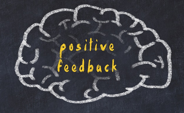 Cervello con iscrizione feedback positivo