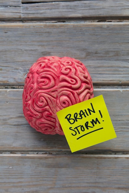 Brainstom label stuck on a brain