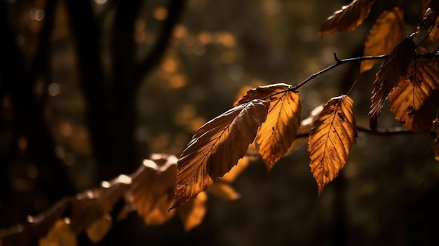 A branch of autumn leaves with the sun shining on it.